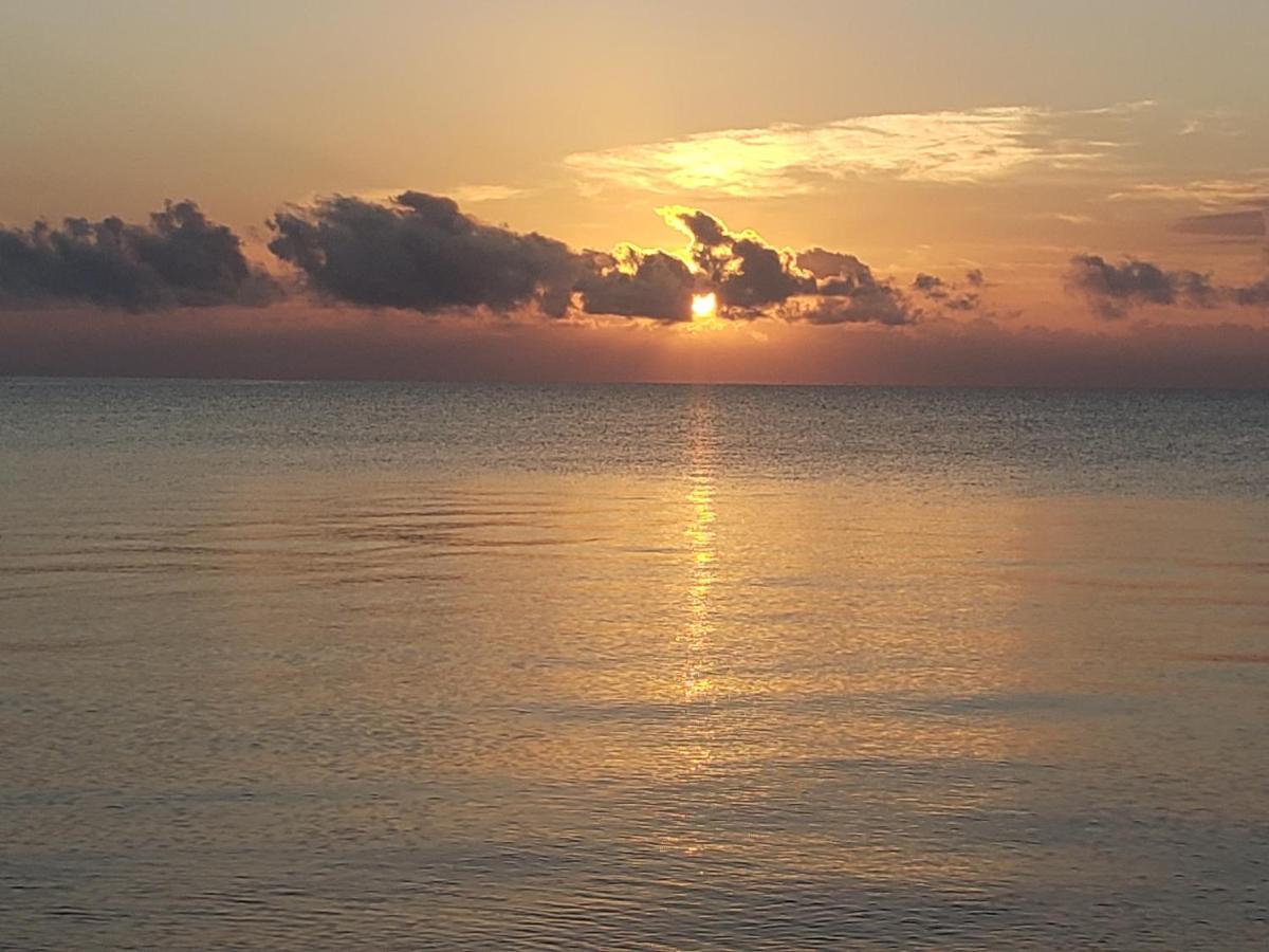 Pal'S On The Beach - Dangriga, Belize المظهر الخارجي الصورة