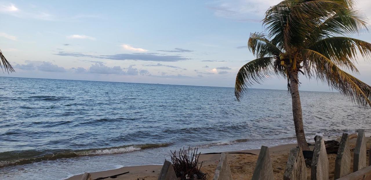 Pal'S On The Beach - Dangriga, Belize المظهر الخارجي الصورة