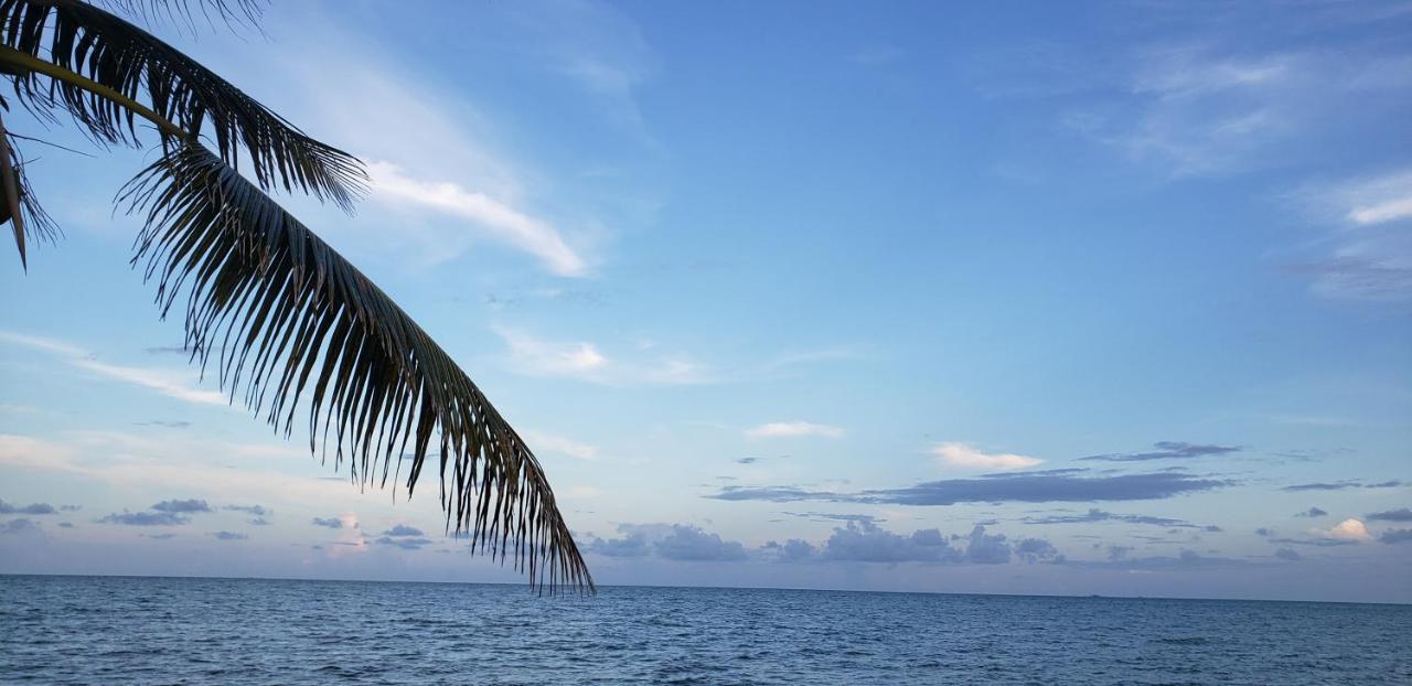 Pal'S On The Beach - Dangriga, Belize المظهر الخارجي الصورة