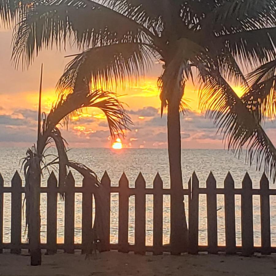 Pal'S On The Beach - Dangriga, Belize المظهر الخارجي الصورة