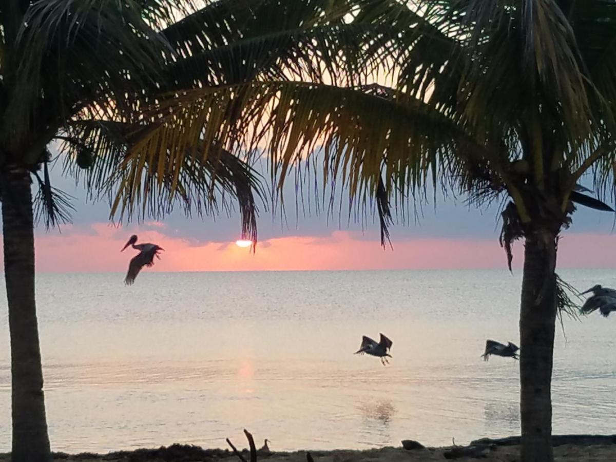 Pal'S On The Beach - Dangriga, Belize المظهر الخارجي الصورة