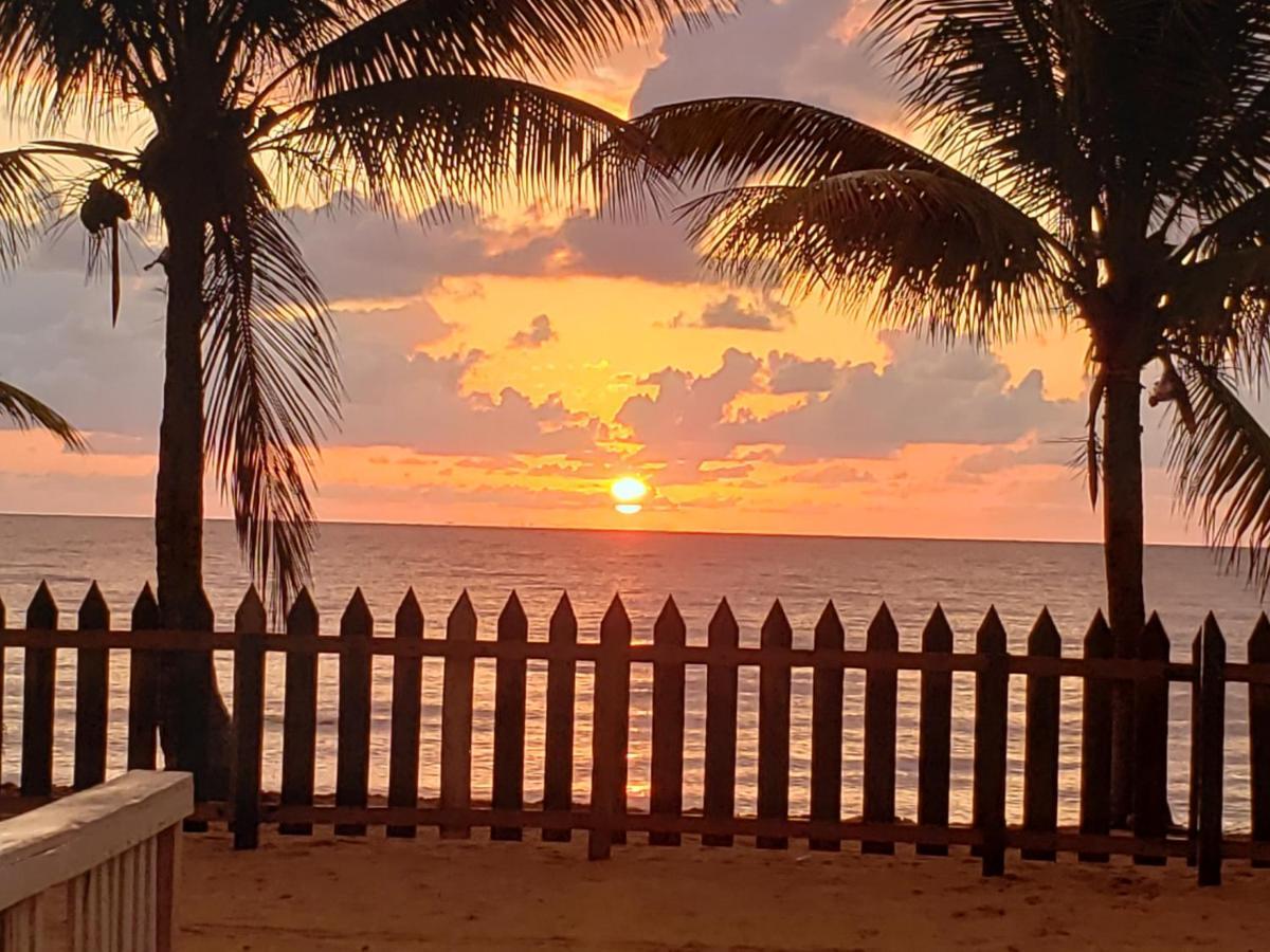 Pal'S On The Beach - Dangriga, Belize المظهر الخارجي الصورة