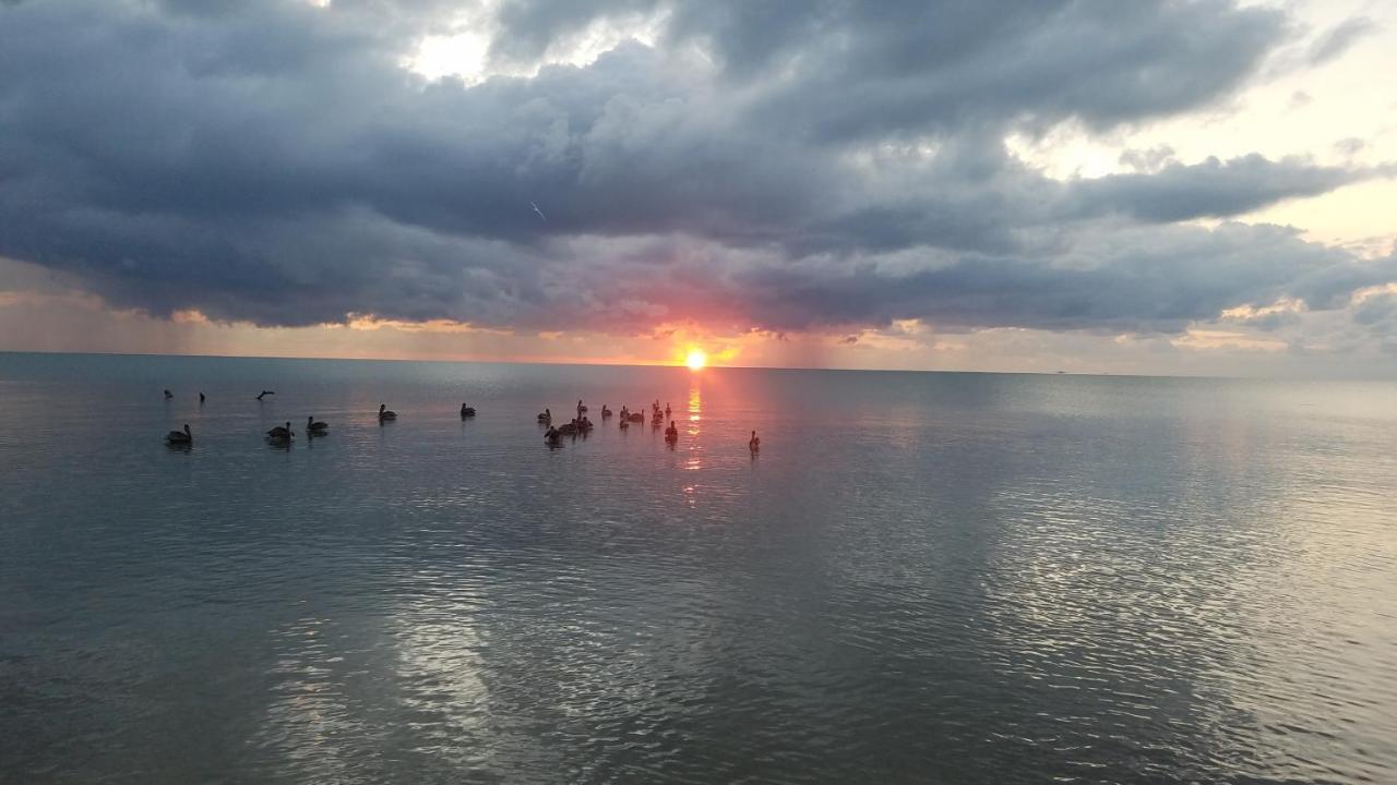 Pal'S On The Beach - Dangriga, Belize المظهر الخارجي الصورة