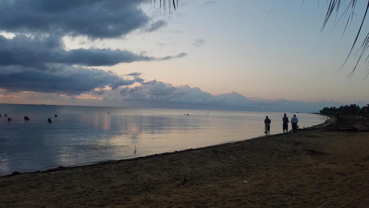 Pal'S On The Beach - Dangriga, Belize المظهر الخارجي الصورة