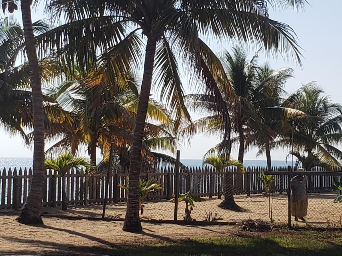 Pal'S On The Beach - Dangriga, Belize المظهر الخارجي الصورة